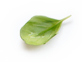 Листик