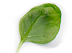 Листик