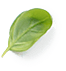 Листик