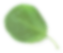 Листик